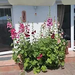 Apartamento Perle Von Koserow! Mit Terrasse Koserow