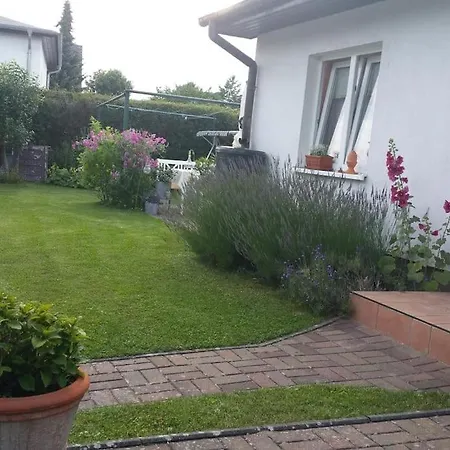 Perle Von Koserow! Mit Terrasse 公寓 科瑟罗