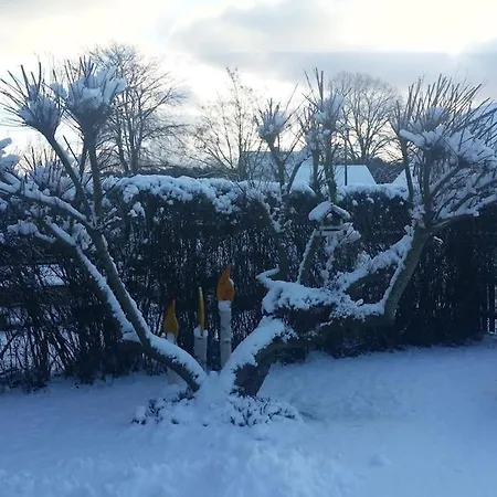 Apartament Perle Von Koserow! Mit Terrasse *