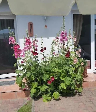 Apartament Perle Von Koserow! Mit Terrasse Koserow