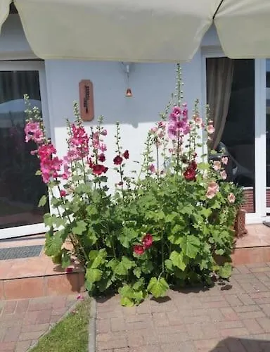 아파트 Perle Von Koserow! Mit Terrasse 코세로우